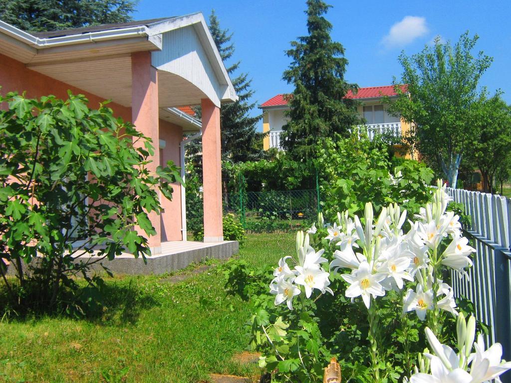 Feszek Apartmanhaz วอนยาร์ควาเชกี ภายนอก รูปภาพ
