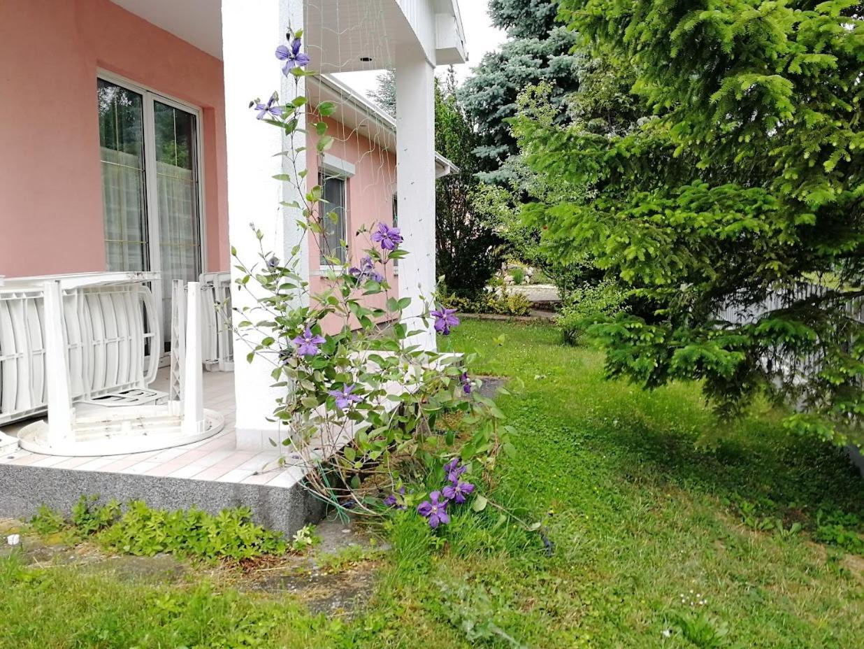 Feszek Apartmanhaz วอนยาร์ควาเชกี ภายนอก รูปภาพ