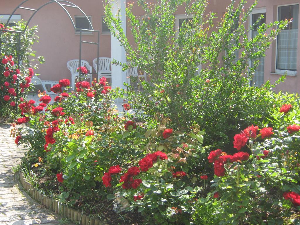 Feszek Apartmanhaz วอนยาร์ควาเชกี ภายนอก รูปภาพ